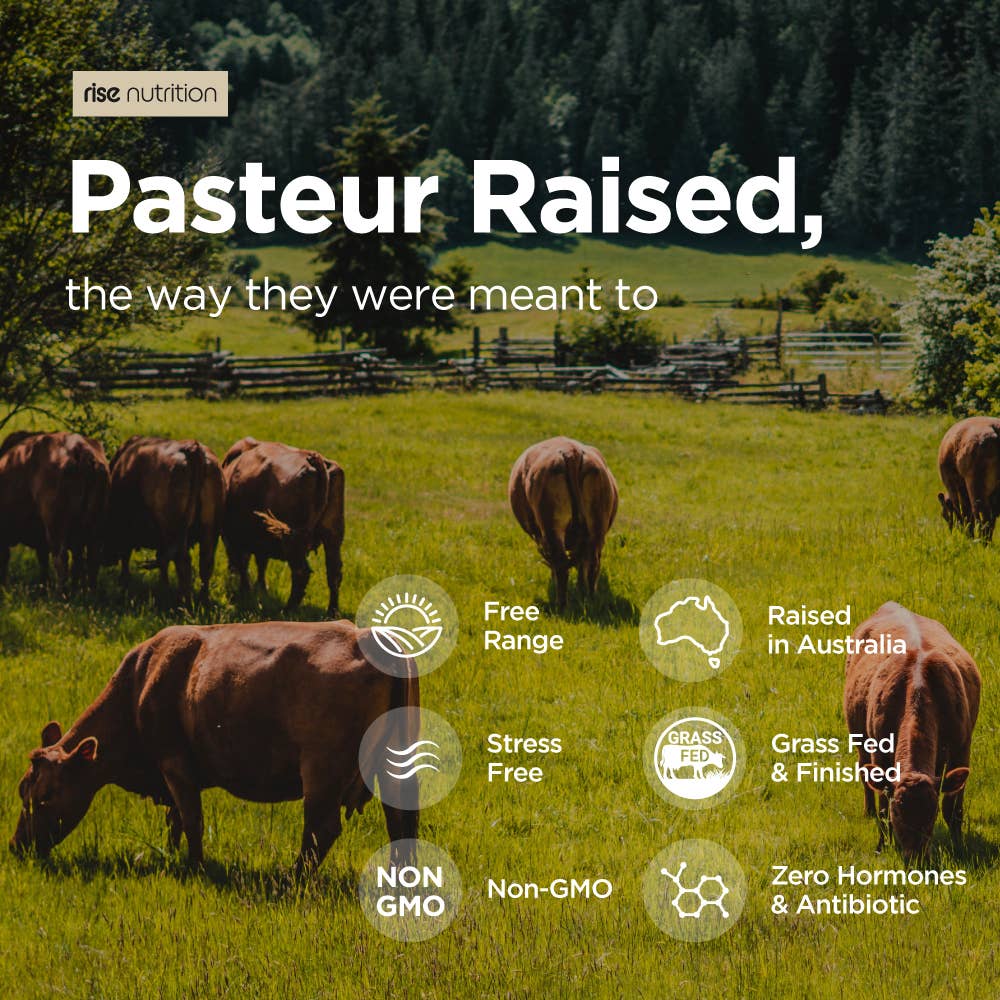 Cattle grazing in a pasture with icons highlighting features of Rise Nutrition Grass Fed Beef Liver Capsules like non-GMO, grass-fed, and hormone-free.