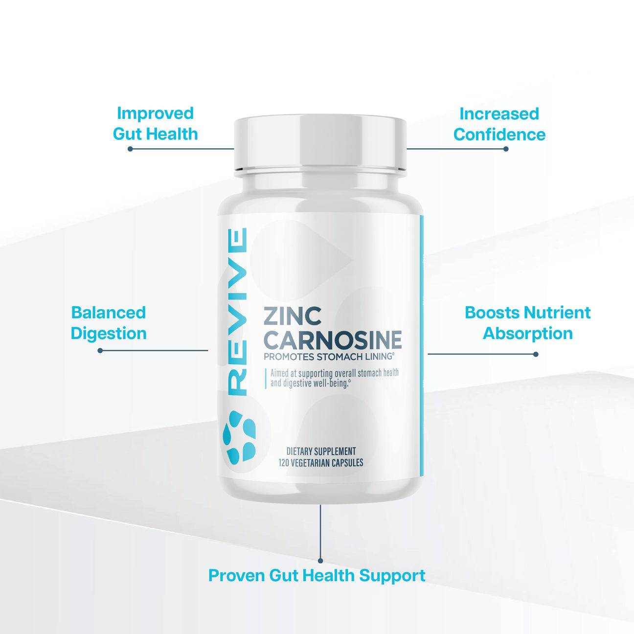 Revive Zinc Carnosine benefits infographic highlighting improved gut health, nutrient absorption, digestion, and confidence.