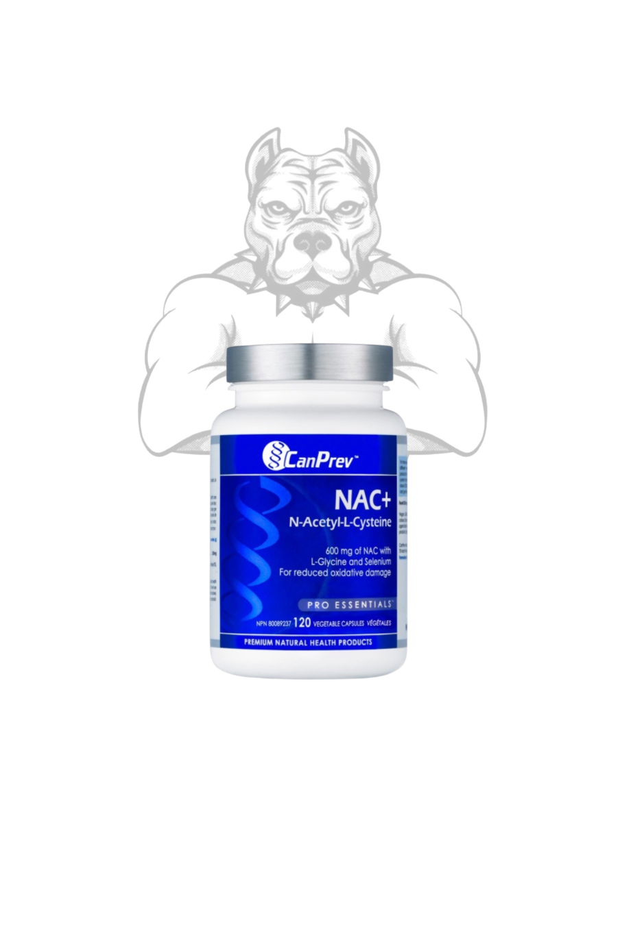 BulkBully Supplements