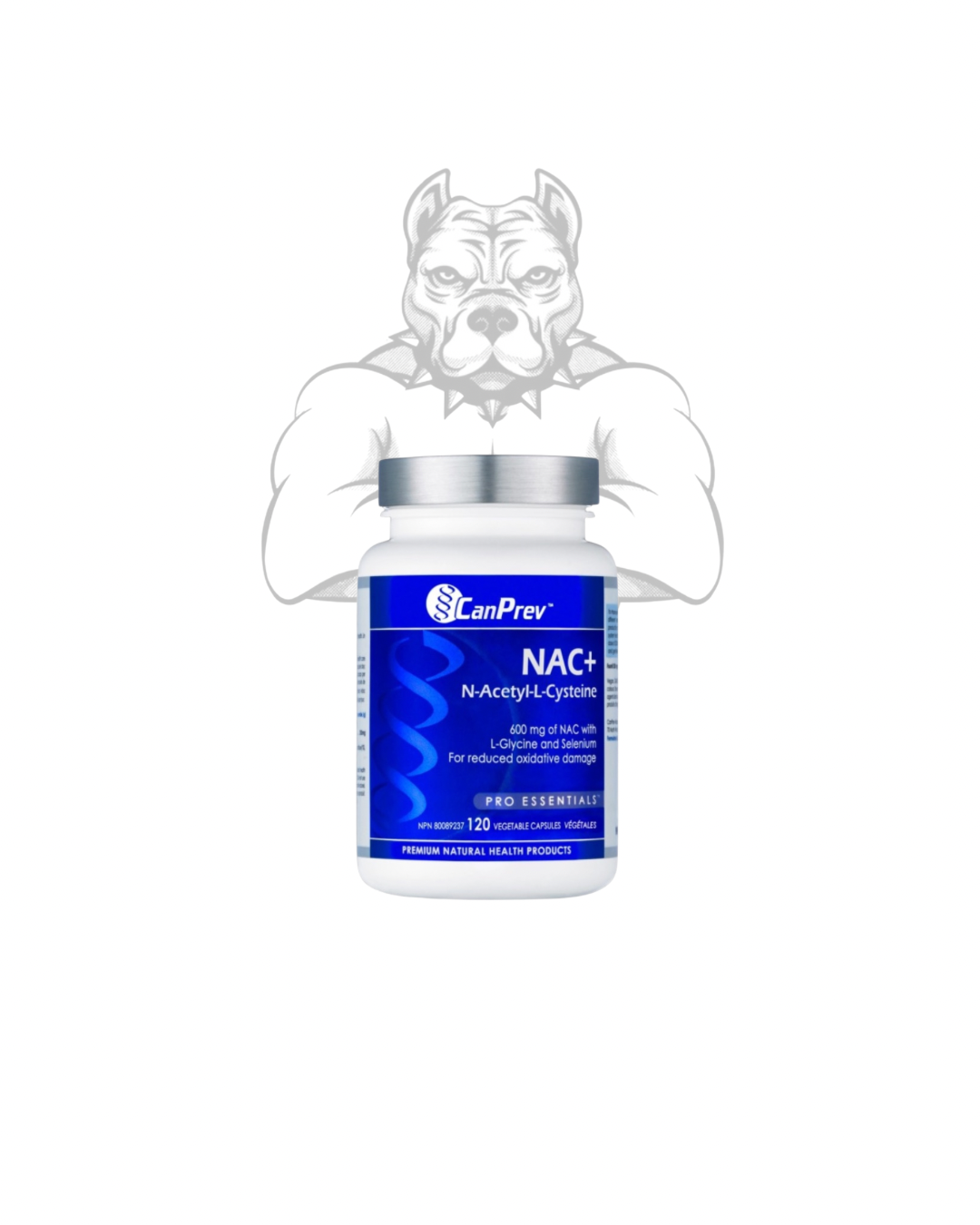 BulkBully Supplements