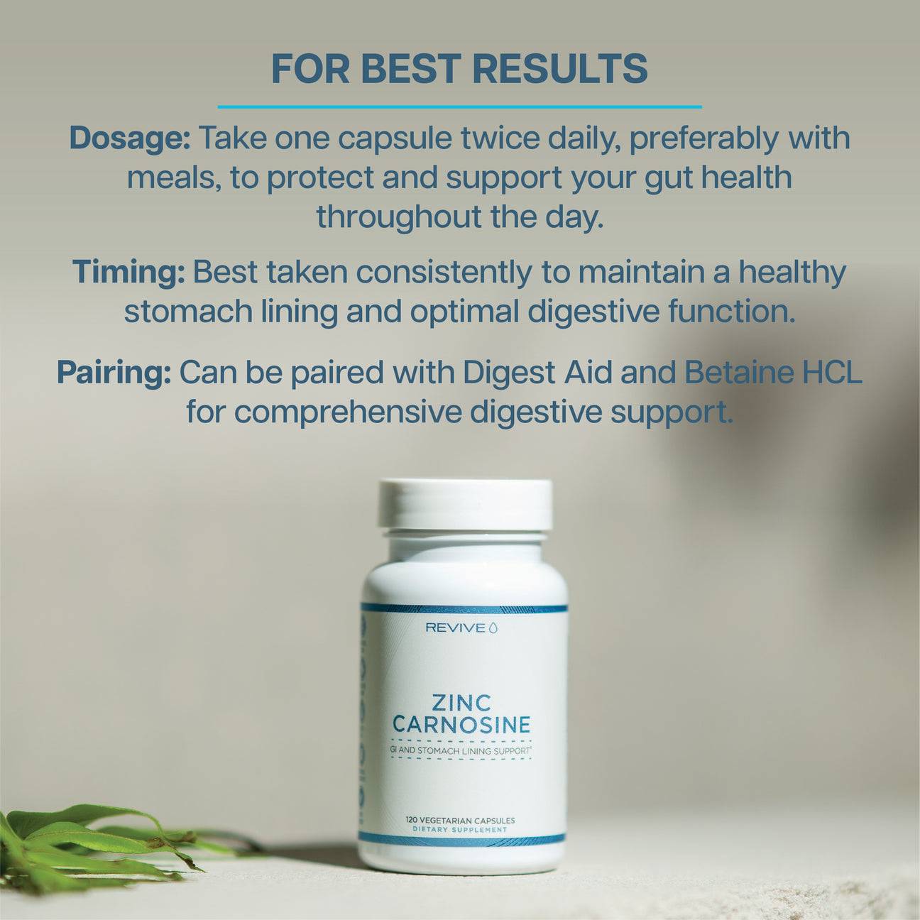 Revive Zinc Carnosine bottle on a table with usage instructions for optimal gut health, including dosage, timing, and pairing suggestions.