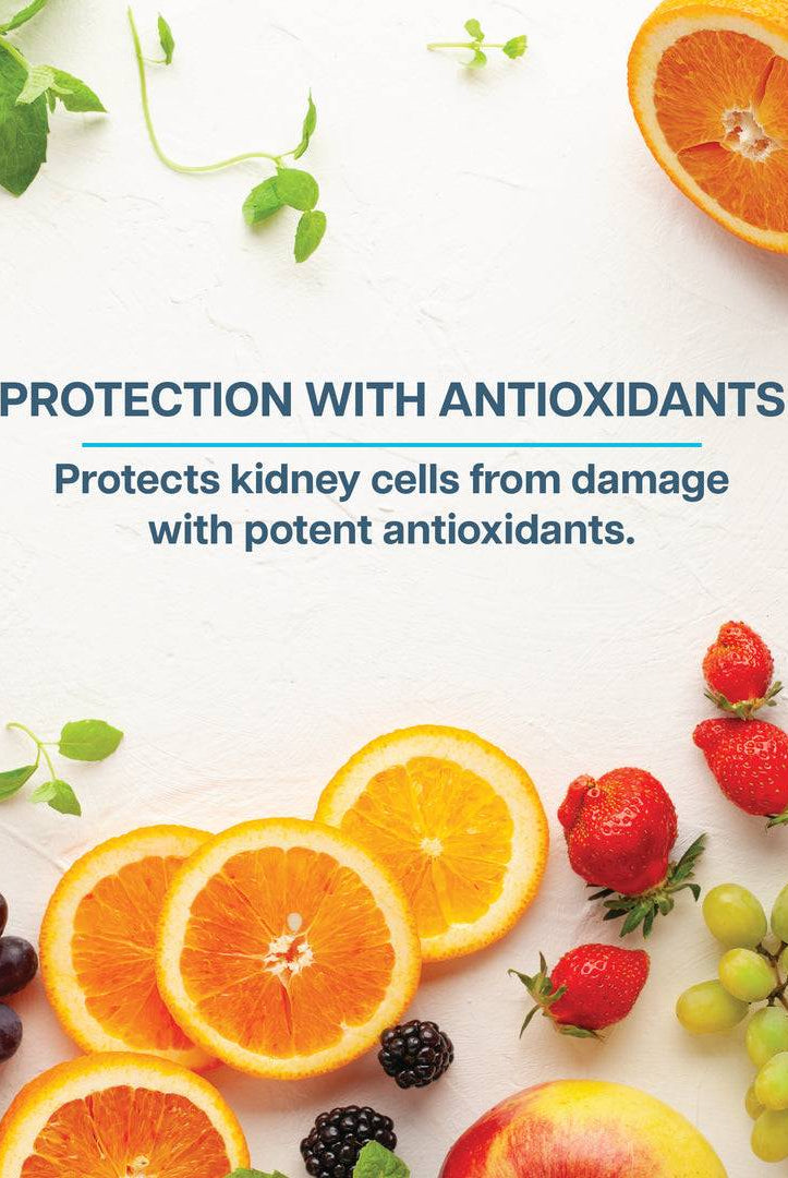 Assorted fruits rich in antioxidants. Revive Kidney Supplement protects kidney cells with potent antioxidants to reduce cellular damage.