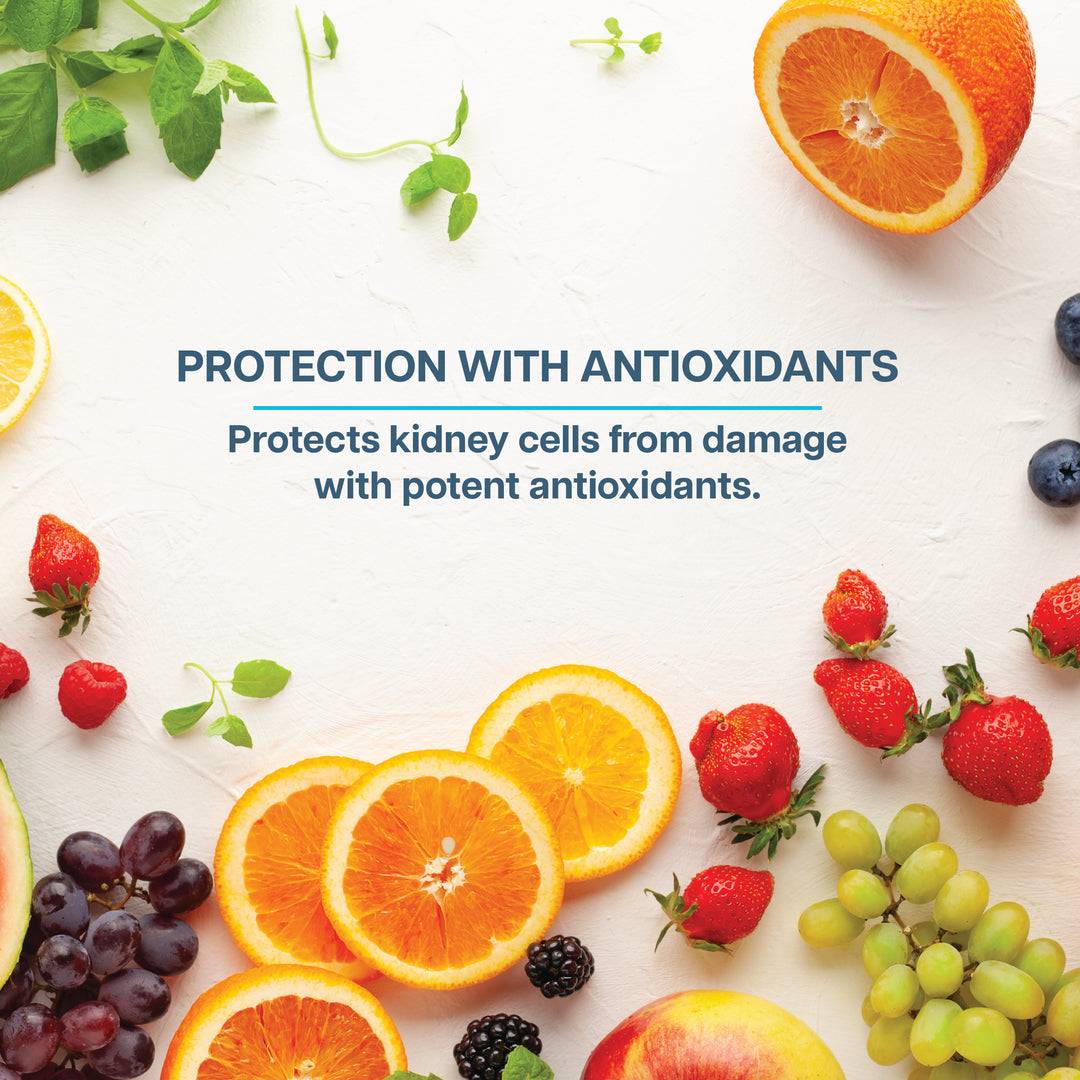 Assorted fruits rich in antioxidants. Revive Kidney Supplement protects kidney cells with potent antioxidants to reduce cellular damage.