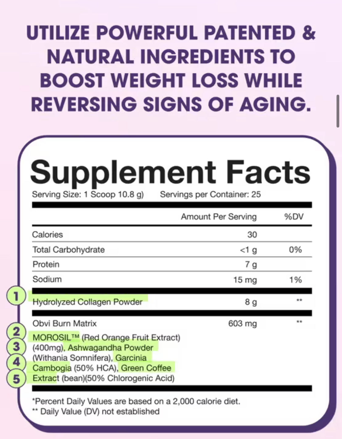 Supplement facts label for Obvi Collagenic Burn Powder Fruit Punch flavor, listing collagen, Morosil, and herbal ingredients for weight loss support.