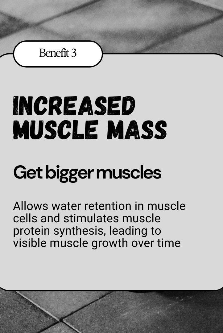 Increased muscle mass benefit of BulkBully Strawberry Creatine Gummies, promoting visible muscle growth through protein synthesis.