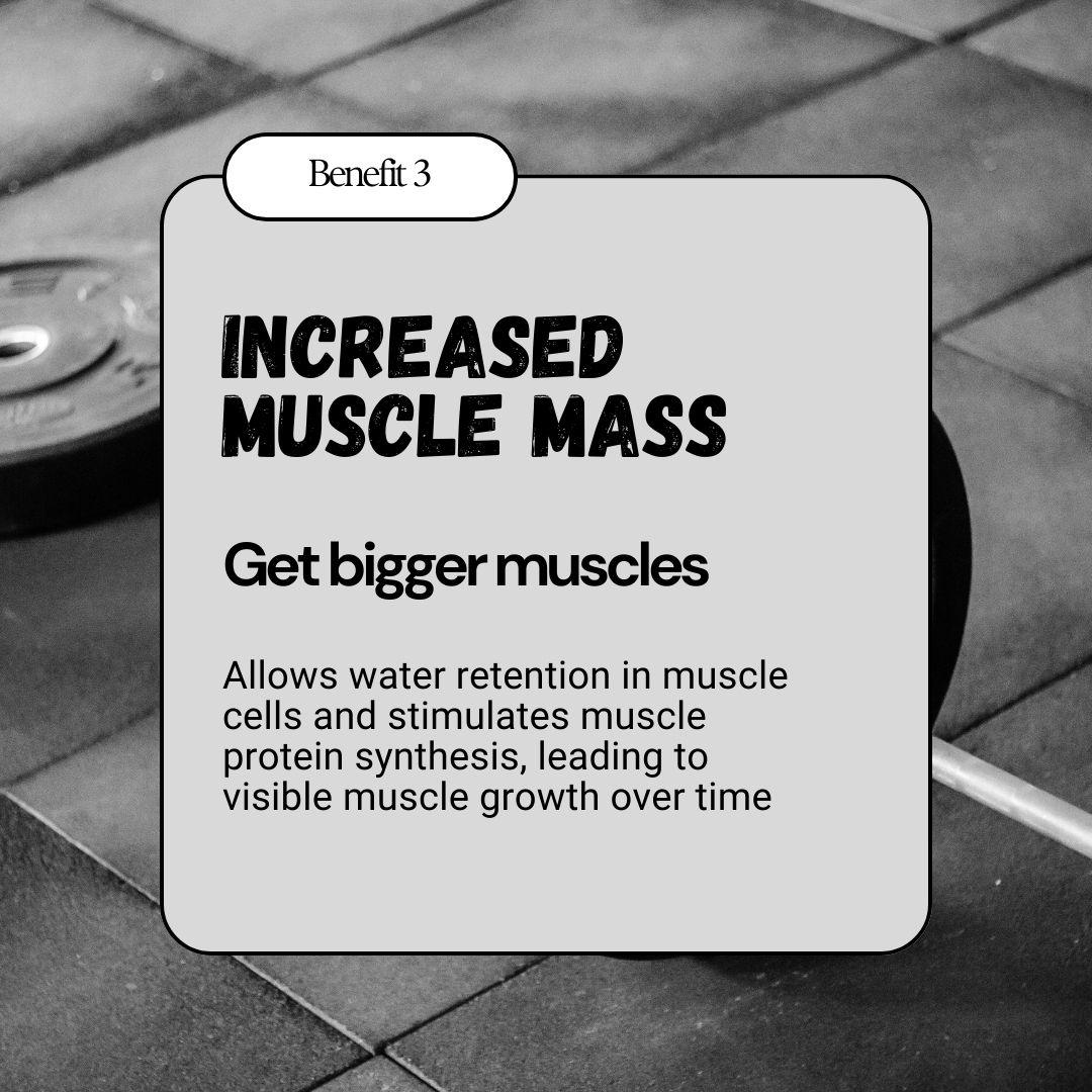 Increased muscle mass benefit of BulkBully Strawberry Creatine Gummies, promoting visible muscle growth through protein synthesis.