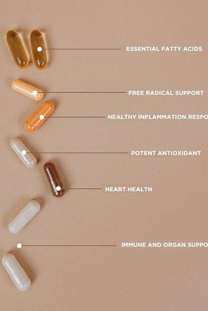 Labeled capsules from the Revive Vitamin Pack showing benefits like heart health, antioxidants, and immune support on a neutral background.