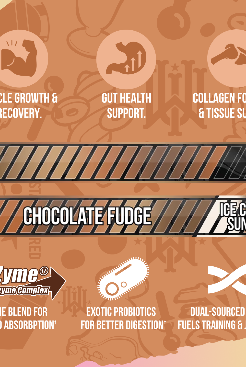 BulkBully Supplements