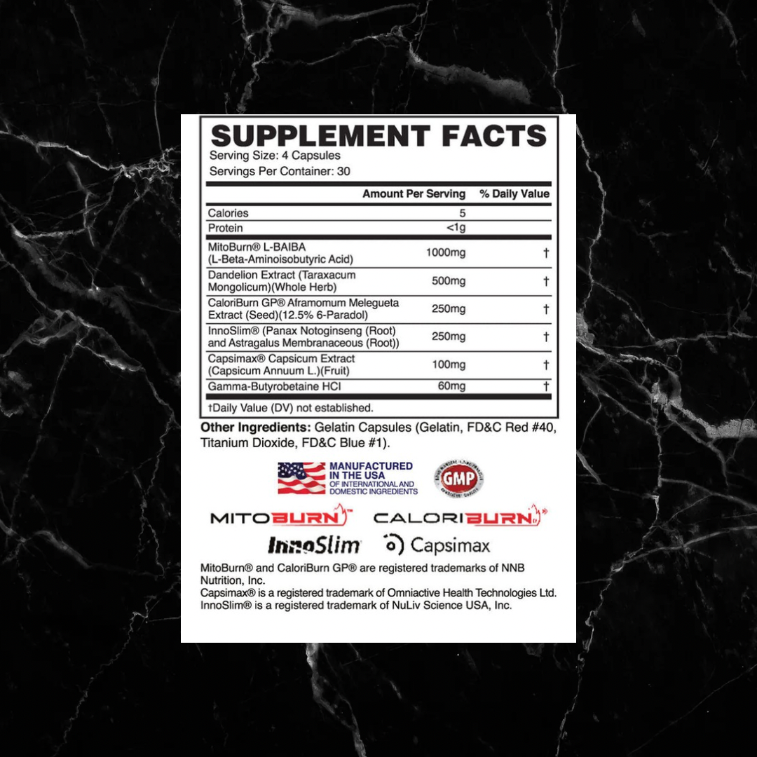 Supplement facts label of Apollon MOLOTOV showing ingredients like MitoBurn, CaloriBurn, and InnoSlim for stimulant-free fat burning and energy boost.