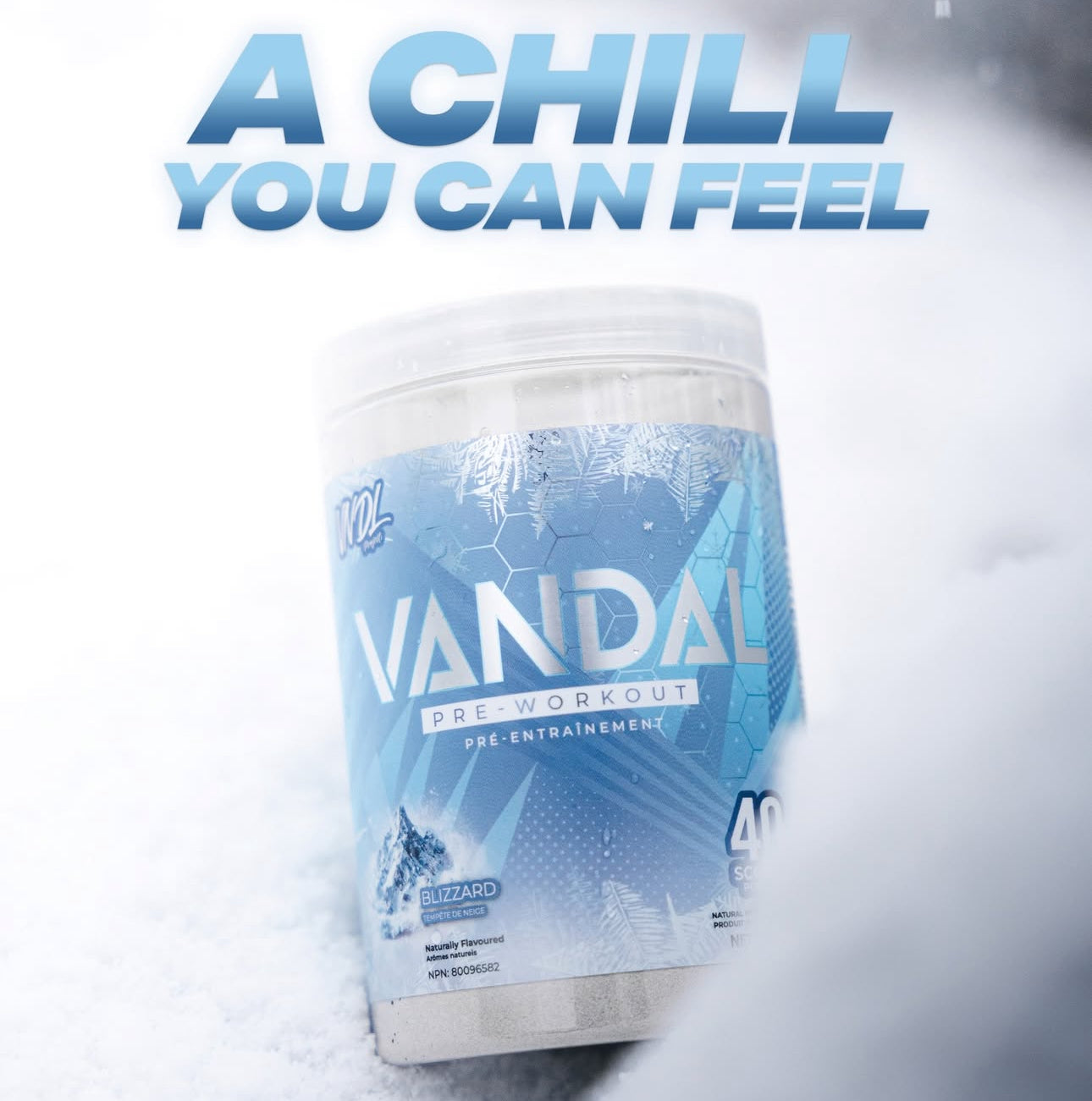 VNDL Project Vandal Pre-Workout Blizzard flavor in snow with tagline 'A Chill You Can Feel'. 40 servings for cold-refreshing workout energy boost.