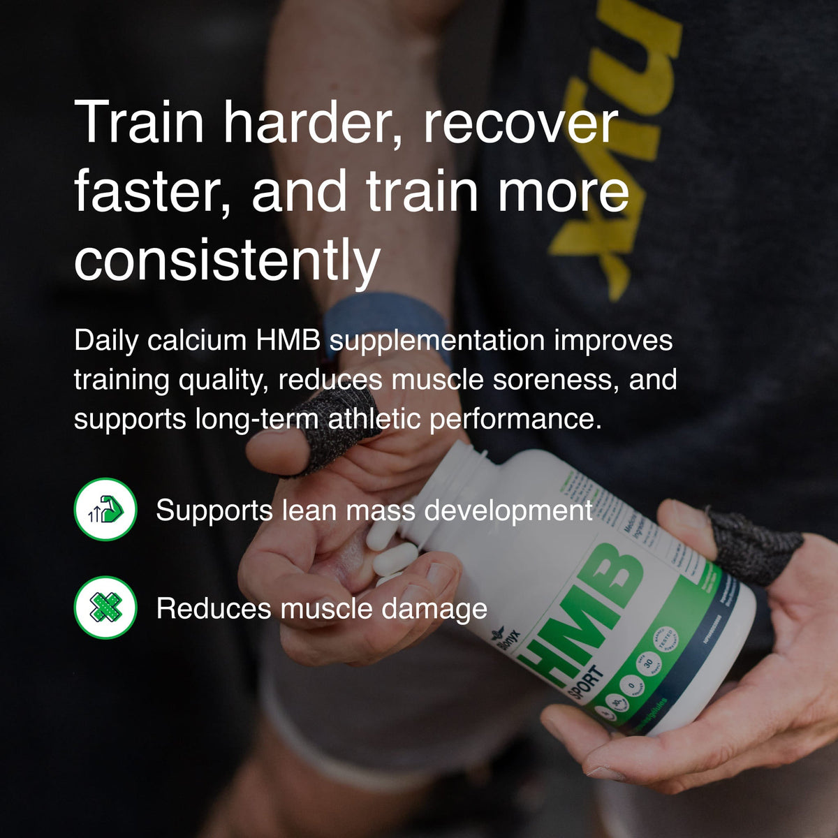 BulkBully Supplements