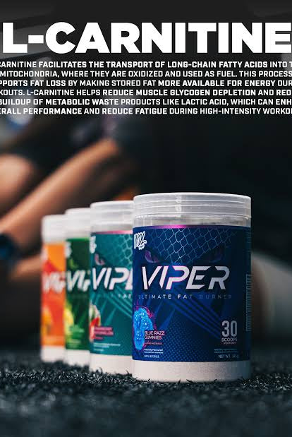 VNDL Project Viper fat burner lineup shown on gym floor, highlighting L-Carnitine benefits for fat metabolism and workout performance.