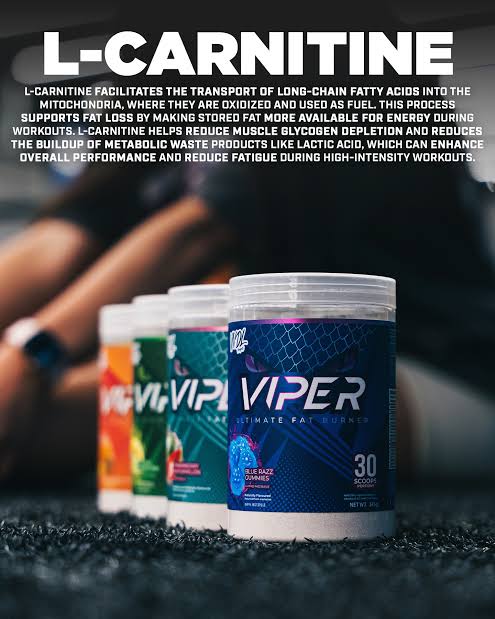 VNDL Project Viper fat burner lineup shown on gym floor, highlighting L-Carnitine benefits for fat metabolism and workout performance.
