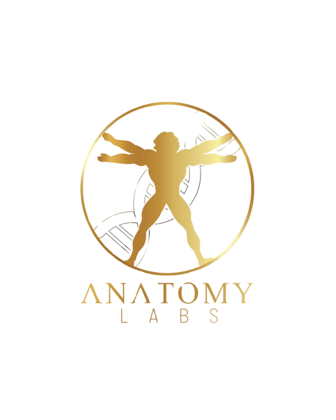 Anatomy Supplements - Top Quality for Best Results