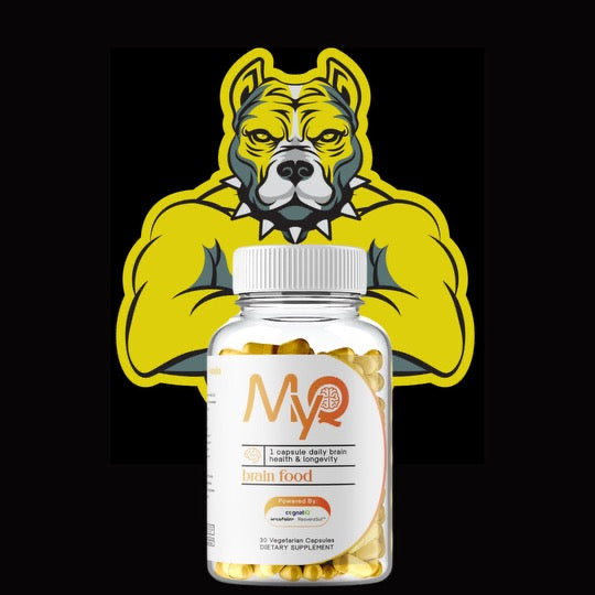 MYQ Brain Food by Supplementsnoop