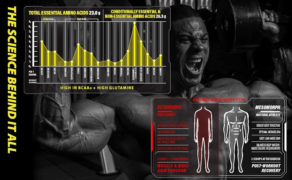 BulkBully Supplements 