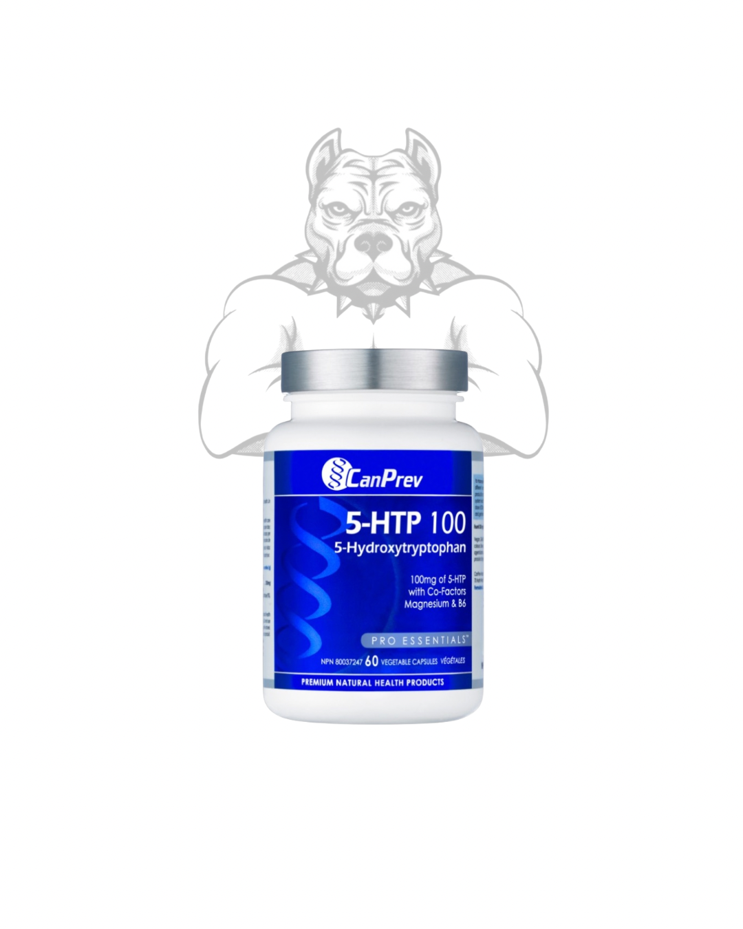 BulkBully Supplements 