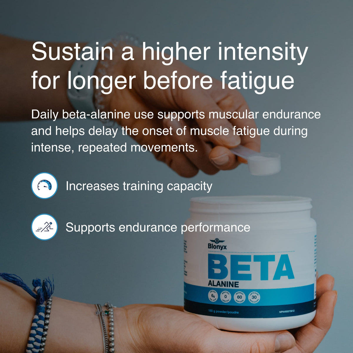 BulkBully Supplements 