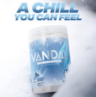 VNDL Project Vandal Pre-Workout Blizzard flavor in snow with tagline 'A Chill You Can Feel'. 40 servings for cold-refreshing workout energy boost.